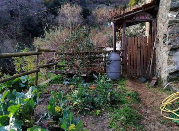 La Casa Di Mo Villa Albisola Superiore Exterior foto